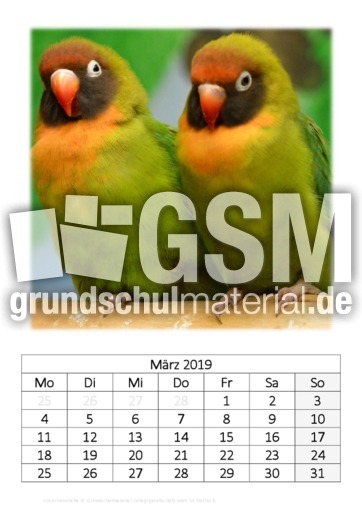 März_Unzertrennliche.pdf